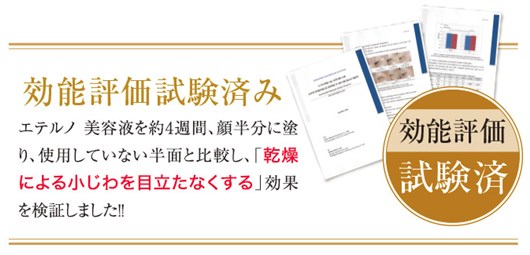 �G�e���m���e�t